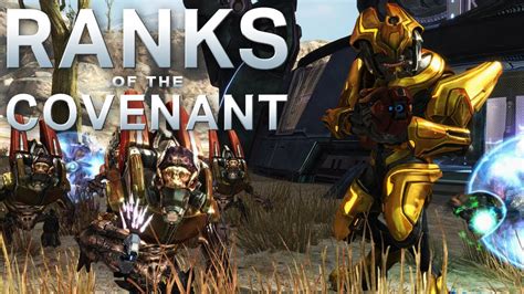 Ranks of the Covenant – Every Known Covenant Rank .